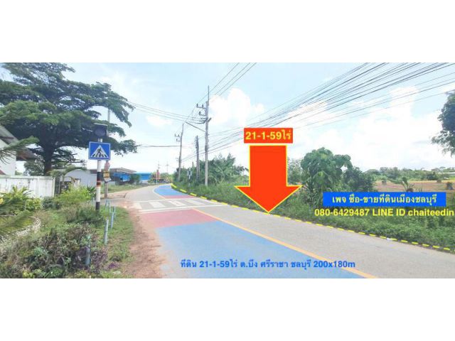 ###ขายที่ดินผังเมือง EEC เนื้อที่ 21.5ไร่ ติดถนน 200เมตร ลึก 160เมตร ตำบลบึง ศรีราชา ชลบุรี ใกล้นิคมปิ่นทอง ##