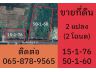 ขายที่ดิน 15 ไร่ & 50 ไร่ (2 แปลง, 2 โฉนด,เจ้าของขายเอง) ติดทางหลวงสาย 11 อ.หนองบัว นครสวรรค์