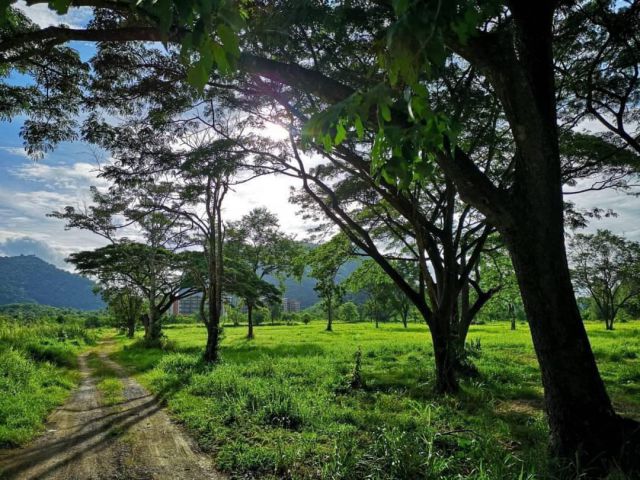 ขายที่ดินเขาใหญ่ 19 ไร่ ติดถนนธนะรัชต์