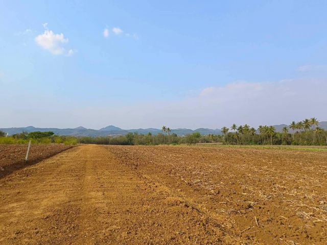 ขายด่วนที่ดินเขาใหญ่ ราคาไร่ละ 3,000,000 บาท!!