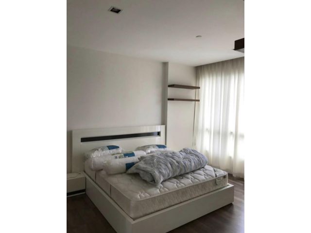 ให้เช่า คอนโด เดอะรูม สุขุมวิท 62 The Room Sukhumvit 62