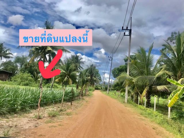 ขายที่ดินเปล่า 12-2-16 ไร่  (5แปลงติดกัน) ห้วยใหญ่-ชากแง้ว