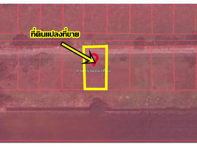 ขายที่ดินเปล่า 100 ตารางวา ซอยตรงข้ามวัดคลองแอน คลองหลวง-ปทุมธานี