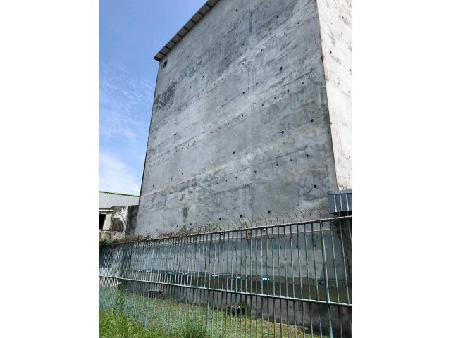 ขายตึกรังนกนางแอ่น