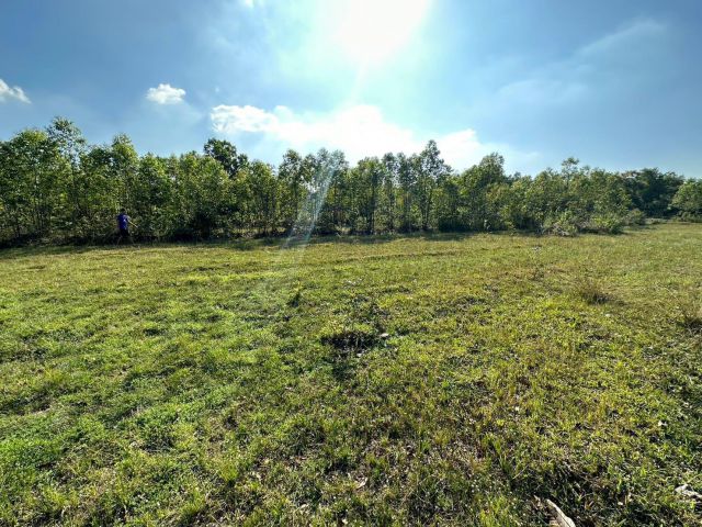 ที่ดินโฉนดเนื้อที่ 1 ไร่ วิวเขาสวย ติดถนนคอนกรีต ห่างลาดยาง 20 ม. มีน้ำ มีไฟ น้ำไม่ท่วม ที่สวยบรรยากาศดี ดินดี