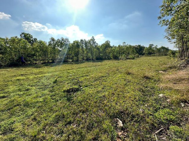 ที่ดินโฉนดเนื้อที่ 1 ไร่ วิวเขาสวย ติดถนนคอนกรีต ห่างลาดยาง 20 ม. มีน้ำ มีไฟ น้ำไม่ท่วม ที่สวยบรรยากาศดี ดินดี