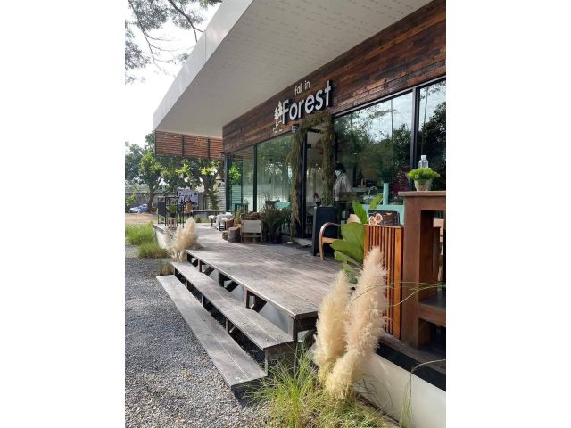 ให้เช่ากิจการร้านอาหารในเมืองเชียงใหม่ เนื้อที่ 478 ตร.ว ติดลำห้วย มีน้ำล้อมรอบ