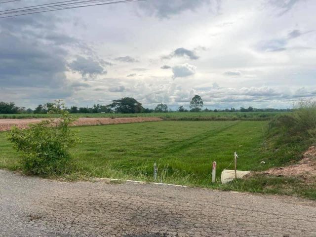 ขายที่ดินโฉนดไฟฟ้าน้ำประปามีพร้อมเหมาะที่ปลูกบ้านอยู่อาศัยใกล้ชุมชน มี   1    ไร่
