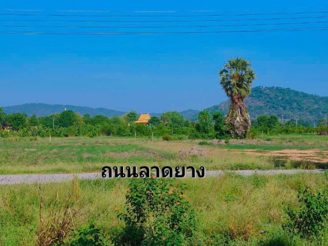 ทีดิน 2 ไร่ พร้อมบ้าน 1 หลัง พร้อมบ่อบาดาล 1 ลูก ติดลาดยางถนน 2 ด้าน เหมาะบ้านสวน หรือ รีโนเวทขาย โฮมเสตย์ กิจการร้านค้า