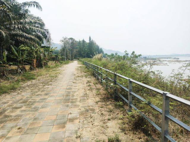 ที่ดินติดริมแม่น้ำโขงใกล้เชียงคาน 5 ไร่ บรรยากาศดีมาก โฉนดพร้อมโอน