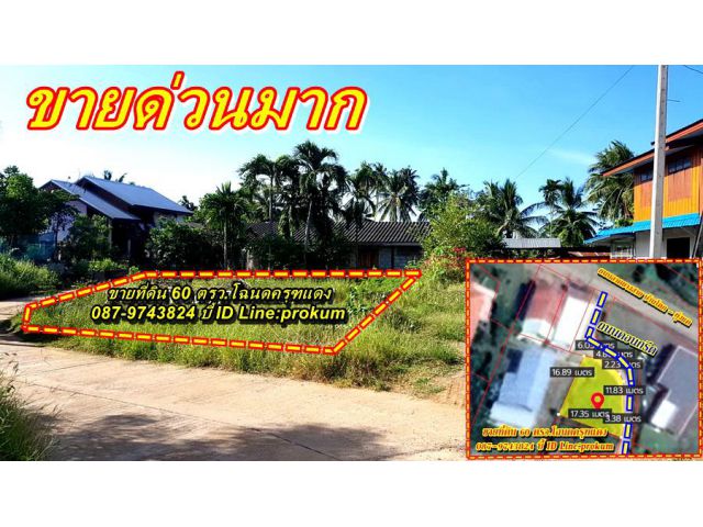 ขายที่ดินเพชรบูรณ์ 60 ตรว.โฉนดครุฑแดง 350,000 บาท