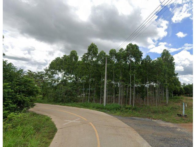 ขายที่ดินบ้านบึง 1 ไร่ ถมแล้ว ทรงสี่เหลี่ยมผืนผ้าสวย ติดถ.คอนกรีต ใกล้ถ.ชบ.4004-700 เมตร ใกล้แยกหนองเสม็ด - 7 กม.