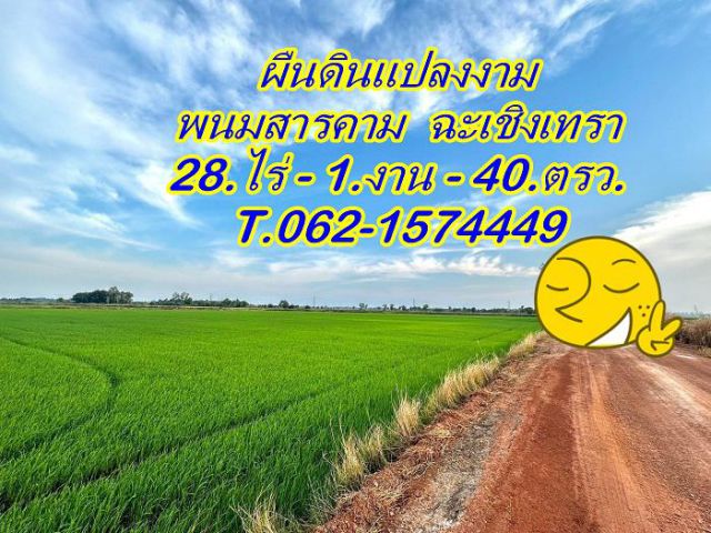 Vายที่ดินแปลงงามพนมสารคาม ฉะเชิงเทรา ที่ดินแปลงใหญ่แต่ราคาเบาๆขายยกแปลงยกโฉนดราคาเบา ๆ T.062-1574449