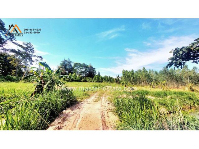 ที่ดินแปลงใหญ่ 129 ไร่ ติดถนนหลักเทศบาล 34 ทำเลดีมาก ใจกลางเมืองบ้านฉาง เหมาะทำโครงการจัดสรร ฯลฯ จ.ระยอง