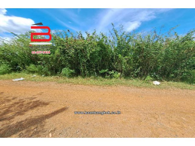 ที่ดินเปล่า ซ.บงกช 26 เนื้อที่ 400 ตรว ถ.รังสิต-นครนายก อ.คลองหลวง จ.ปทุมธานี