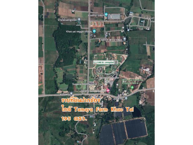 ขายที่ดินปากช่อง ใกล้ Tamaya Farm Khao Yai โฉนด 195 ตรว.