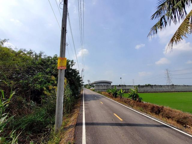 ขายที่ดินผังสีม่วง 6 ไร่เศษ(แบ่งได้)️ ติดถนนลาดยางสาธารณะต.ไทรใหญ่ อ.ไทรน้อย นนทบุรี095-879-4465