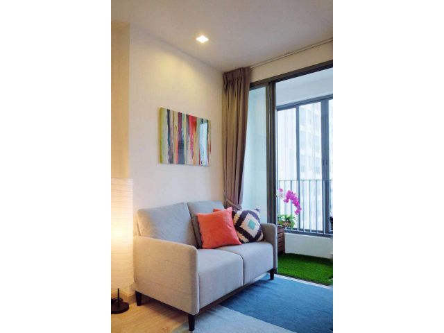Ideo Mobi Sukhumvit 81 for rent 1 bedroom 1 bathroom 30.5 sqm rental 15,000 baht/month