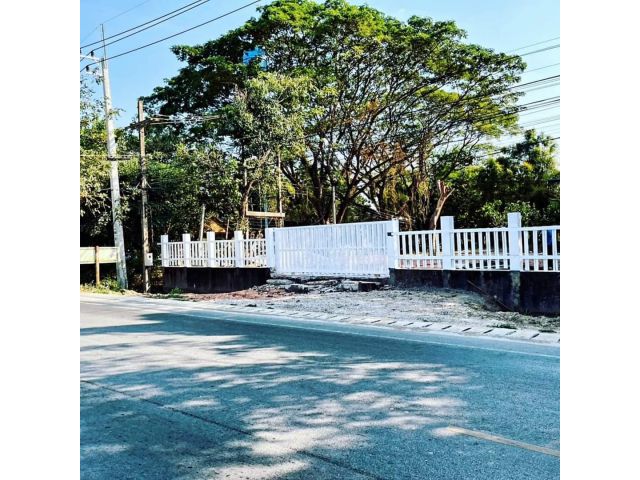 ขายที่ดินติดถนนล้อมรั้วเรียบร้อยแถวหางดงพร้อมโอน