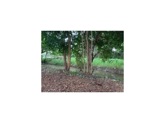 ขายที่ดินตำบลท่าศาลาล้อมรั้วเรียบร้อยติดลำเหมืองพร้อมโอน
