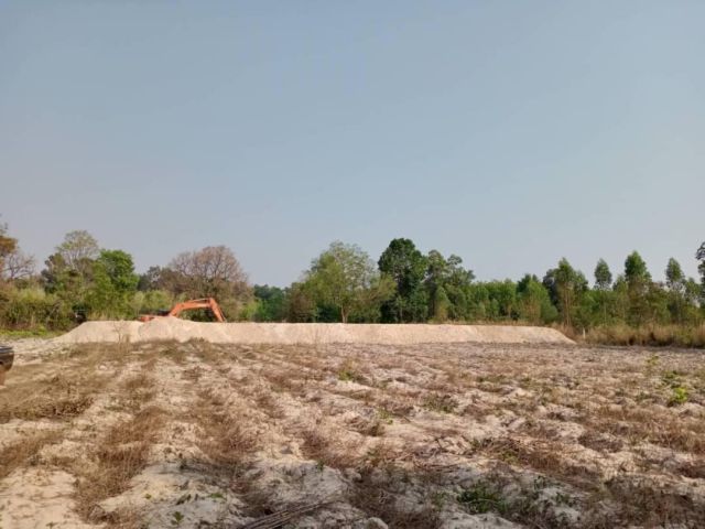 ขายที่ดินเพื่อการเกษตร  จ.ยโสธร