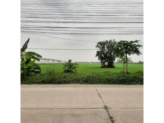 ขายที่ดินติดถนนสองด้าน