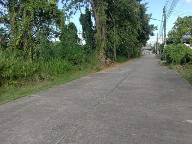 ขายที่ดินตำบลหนองควายหางดงห่างถนนหลัก 100เมตร