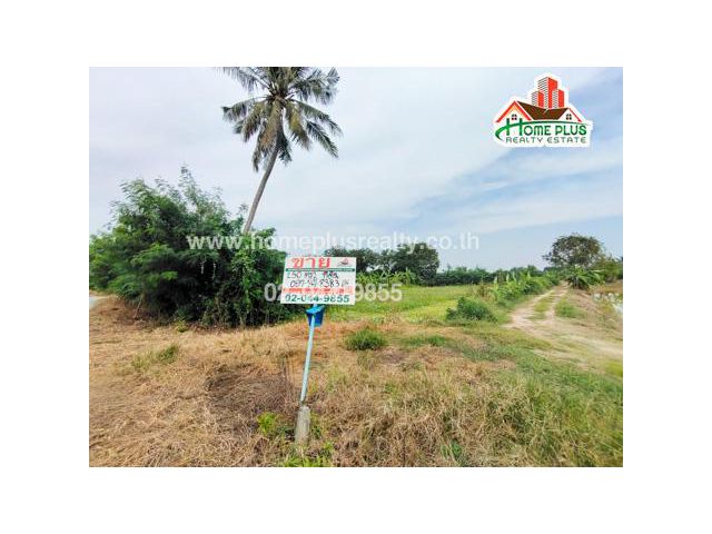 ที่ดินใกล้หาดเติมรักตำบลบางคูรัด อำเภอบางบัวทอง นนทบุรี เนื้อที่ 250 ตารางวา