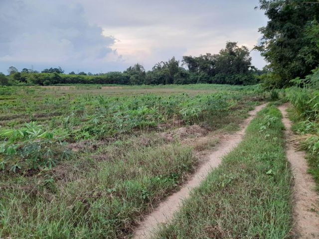 โฉนด1ไร่.เหมาะสร้างบ้านสวน.ดินดีมากๆขายไร่ละ200,000..บาท.เบอร์โทร062-3034856