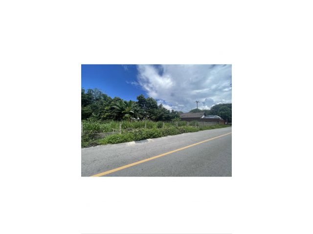 ขายที่ดิน แปลงสวย 200 วา เหมาะปลูกบ้าน ดอนแก้ว แม่ริม