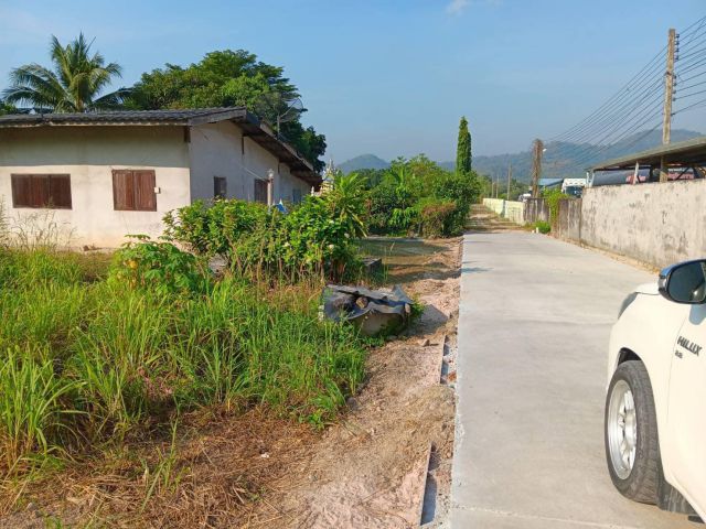 ทีดินบ้านหนองข่าบางพระ 86ตรว. ขาย 1.5ล้าน ต. บางพระ อ.ศรีราชา จ.ชลบุรี - ที่ดินติดถนนคอนกรีตติดถนนซอยบ้านหนองข่าซอย4/5 อยู่ในชุมชนบ้านหนองข่า