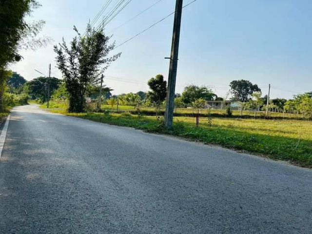 ขายที่ดินทำเลค้าขายได้ตำบลป่าไผ่สันทรายพร้อมโอน