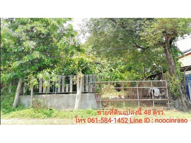 ขายที่ดินสายไหม 48 ตรว.