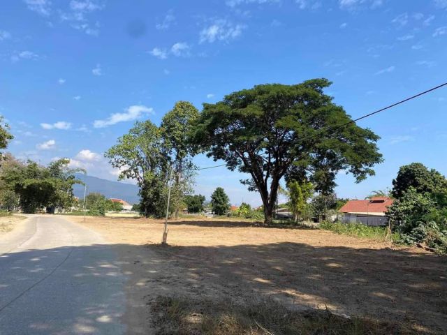 ขายที่ดินตำบลน้ำแพร่หางดงห่างถนนเลี่ยงเมือง 200เมตร