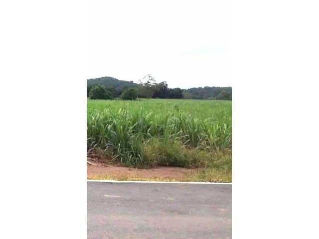 ที่ดินเปล่าแปลงสวย ติดถนนลาดยาง มีไฟฟ้า แหล่งน้ำ อ.สวรรคโลก สุโขทัย