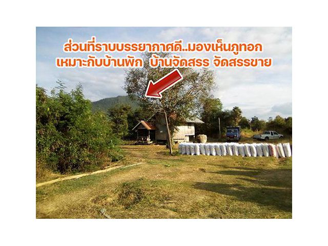 ขายที่ดินติดถนนทางเลี่ยงเมืองเชียงคานใกล้ภูทอก ทำเลดี แบ่งขายงานละ800000 เก็งกำไรได้ชัว