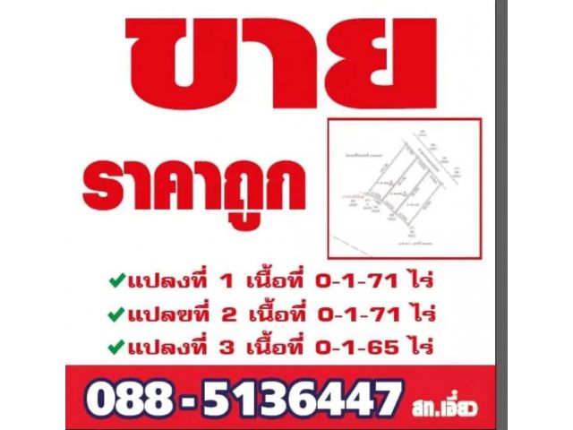 ขายที่ดินแบ่งล็อค สวย ราคาถูกเนื้อที่ 1 งาน 71 ตรว.