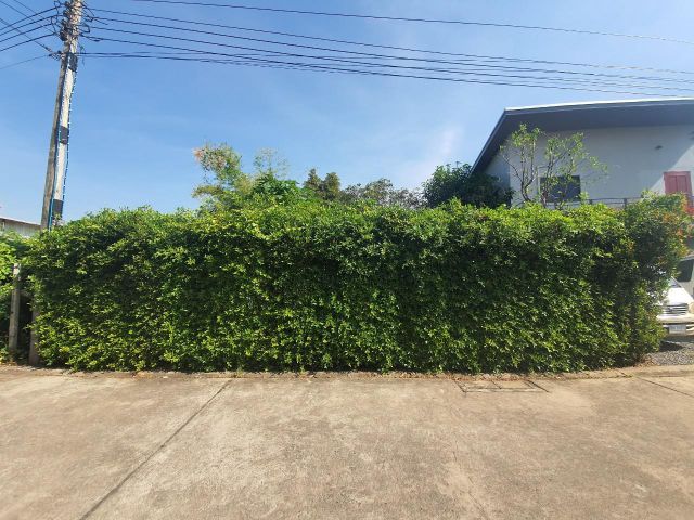 82970 - ขายถูก ที่ดินเปล่า 50 ตร.ว. หมู่บ้านกัลยาณมิตร ซ.ประชาอุทิศ 72