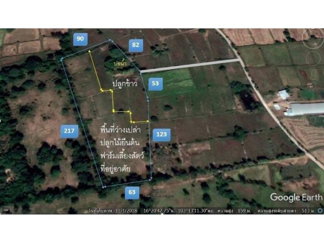 ขายที่ดิน 12 ไร่ ใกล้ คณะสัตวแพทยศาสตร์ อ.กันทรวิชัย มหาลัยมหาสารคาม