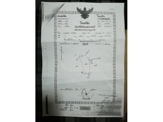 ขายที่ดิน 12 ไร่ ใกล้ คณะสัตวแพทยศาสตร์ อ.กันทรวิชัย มหาลัยมหาสารคาม