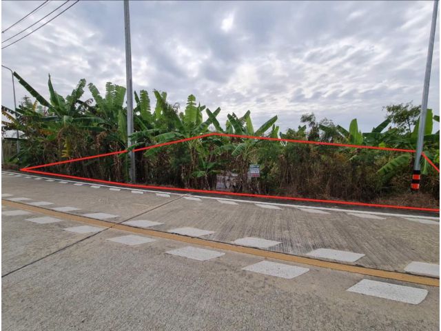 81071 - ขายด่วน ที่ดินเปล่า ติดถนนคอนกรีต กว้าง 6 เมตร เนื้อที่ 1-3-92 ไร่ #ถนนเลียบคลอง 3 #ไทรน้อย #นนทบุรี