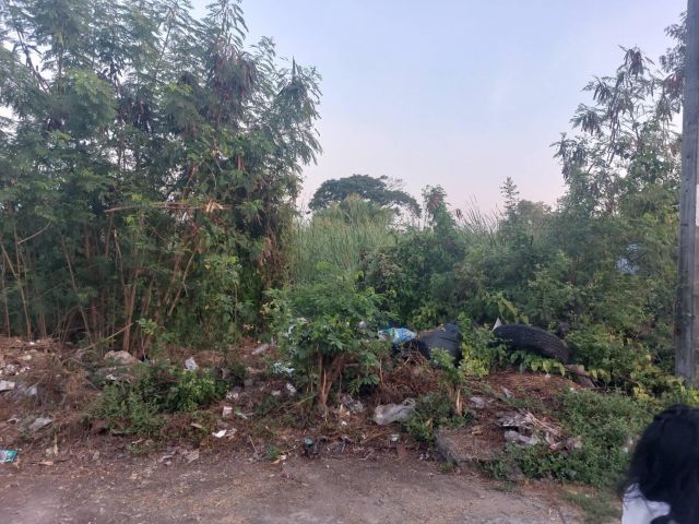 ขายที่ดินมีนบุรี แสนแสบ เนื้อที่ 100 ตรว. ซอยสุวินทวงศ์28แยก3ซอย2 ใกล้ถนน4เลนเส้นสุวินทวงศ์304 - 1.2 กม. กรุงเทพฯ