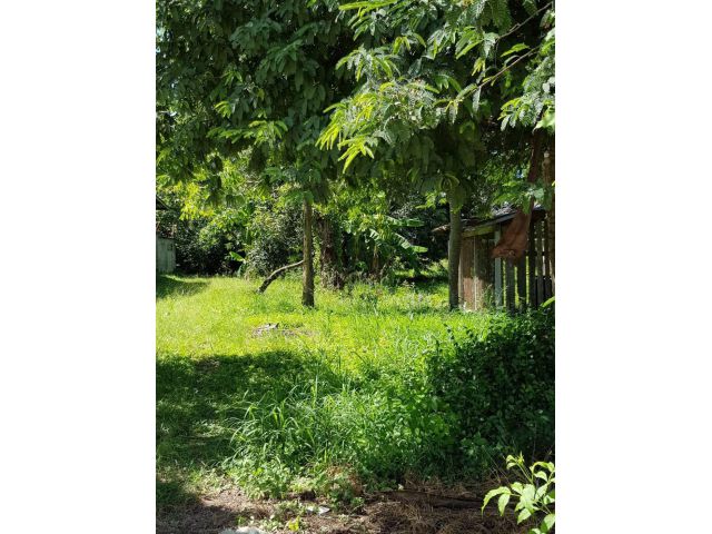 L497 ขายที่ดินสวยทำเลดี 2 ไร่ บ้านบึง(เมือง) ชลบุรี