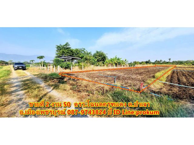 ขายที่ดินเพชรบูรณ์ 2 งาน 50 ตรว. ต.ป่าเลา