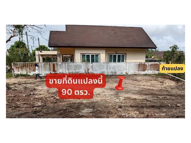 ขายที่ดินเปล่า 4 ห้อง ราคาถูกที่สุดในโซนนี้ ใกล้ บ.พิธาน สาขาแยกน้ำกระจาย ปั๊มปตท.ควนหิน โชว์รูมโตโยต้า ห้าแยกเกาะยอ