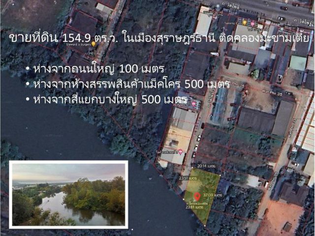 84841 – ขายด่วน! ที่ดิน 154.9 ตร.ว. ถ.วัดโพธิ์ ติดคลองมะขามเตี้ย เมืองสุราษฎร์ธานี