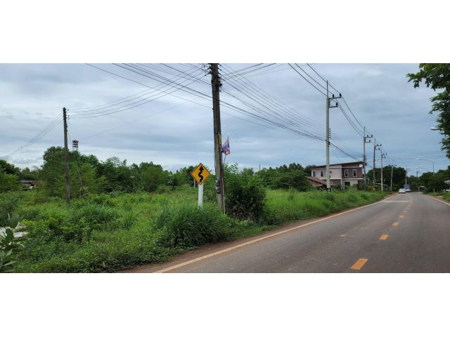 L537 ขายที่ดินสวยทำเลดี 8 ไร่ หน้ากว้าง 139 เมตร ศรีมหาโพธิ ปราจีนบุรี
