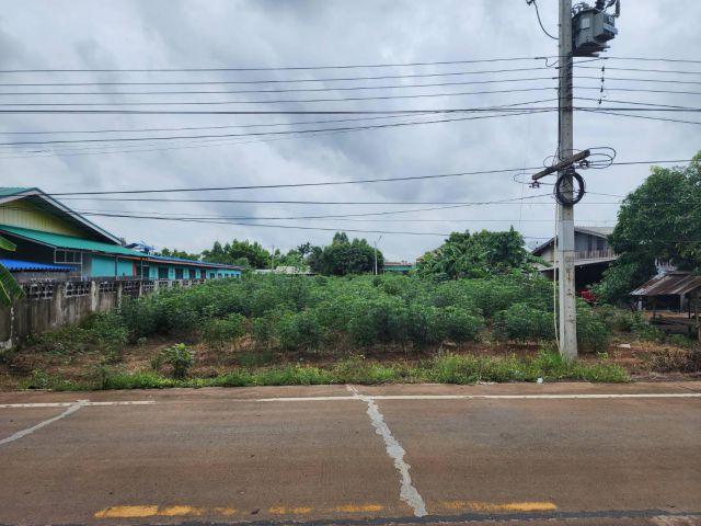 L539 ขายที่ดินใกล้นิคมโรจนะ 326 ตรว ศรีมหาโพธิ ปราจีนบุรี