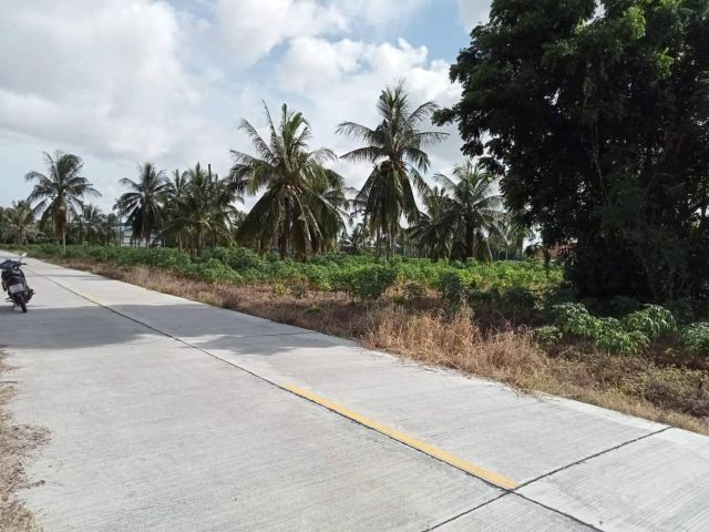 L550 ขายที่ดินใกล้วัดหนองรี 4 ไร่ หน้ากว้าง 94 เมตร เมืองชลบุรี