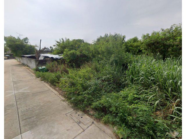 ขายที่ดินบ้านปึก บางแสน 100 ตรว. ถนนมิตรสัมพันธ์ ใกล้ถนนข้าวหลาม 100 เมตร อ.เมืองชลบุรี จ.ชลบุรี